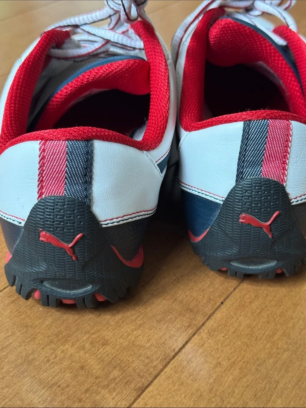 BWM Puma Motorsport Shoes in 8